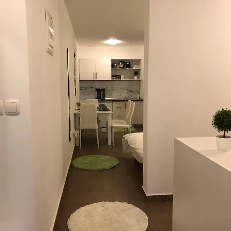 Apartment Modern Center Studio Under The Castle Ii Free Parking *
